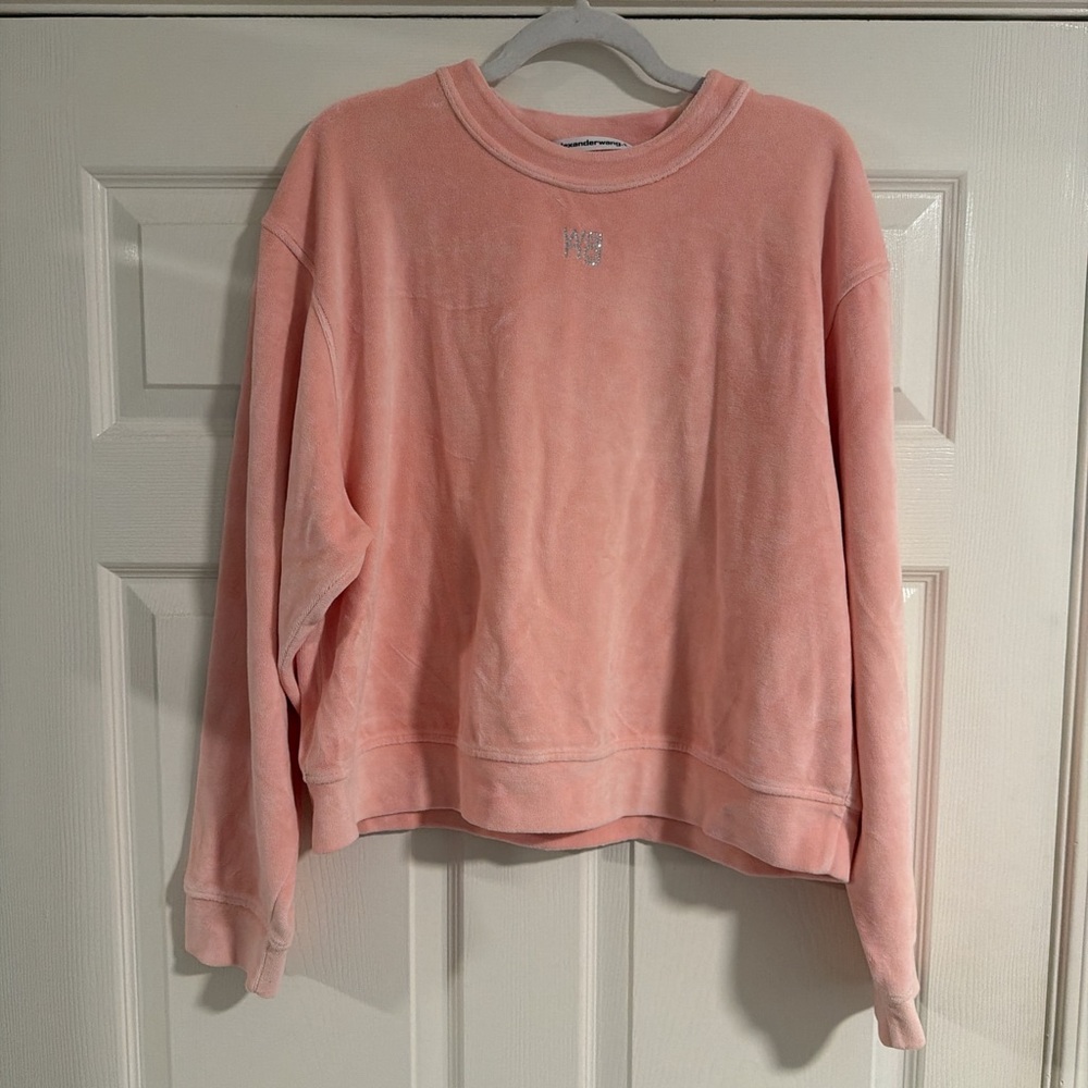 Alexander Wang Light Pink Velvet Sweatshirt and Sweatpants Set